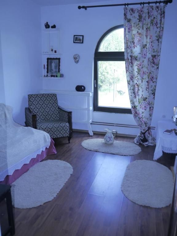 Дома для отпуска Casa Bughea Вэлени-де-Мунте-46